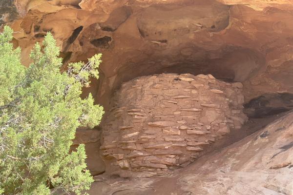 Stone Storehouse – Canyonlands National Park Postcard Front
