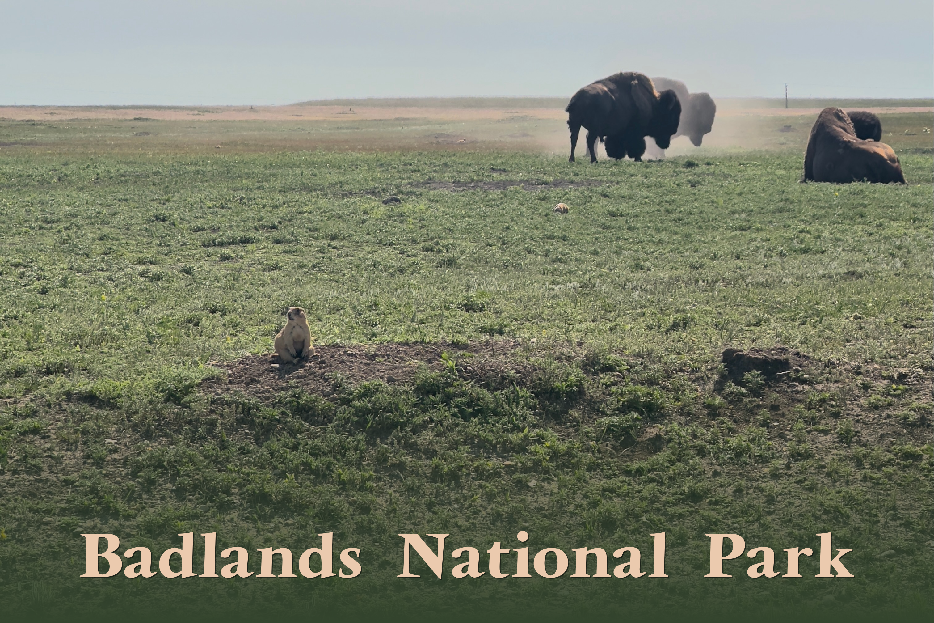 Badlands National Park II Postcard