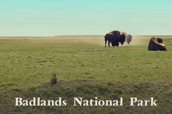 Badlands National Park II Postcard Front