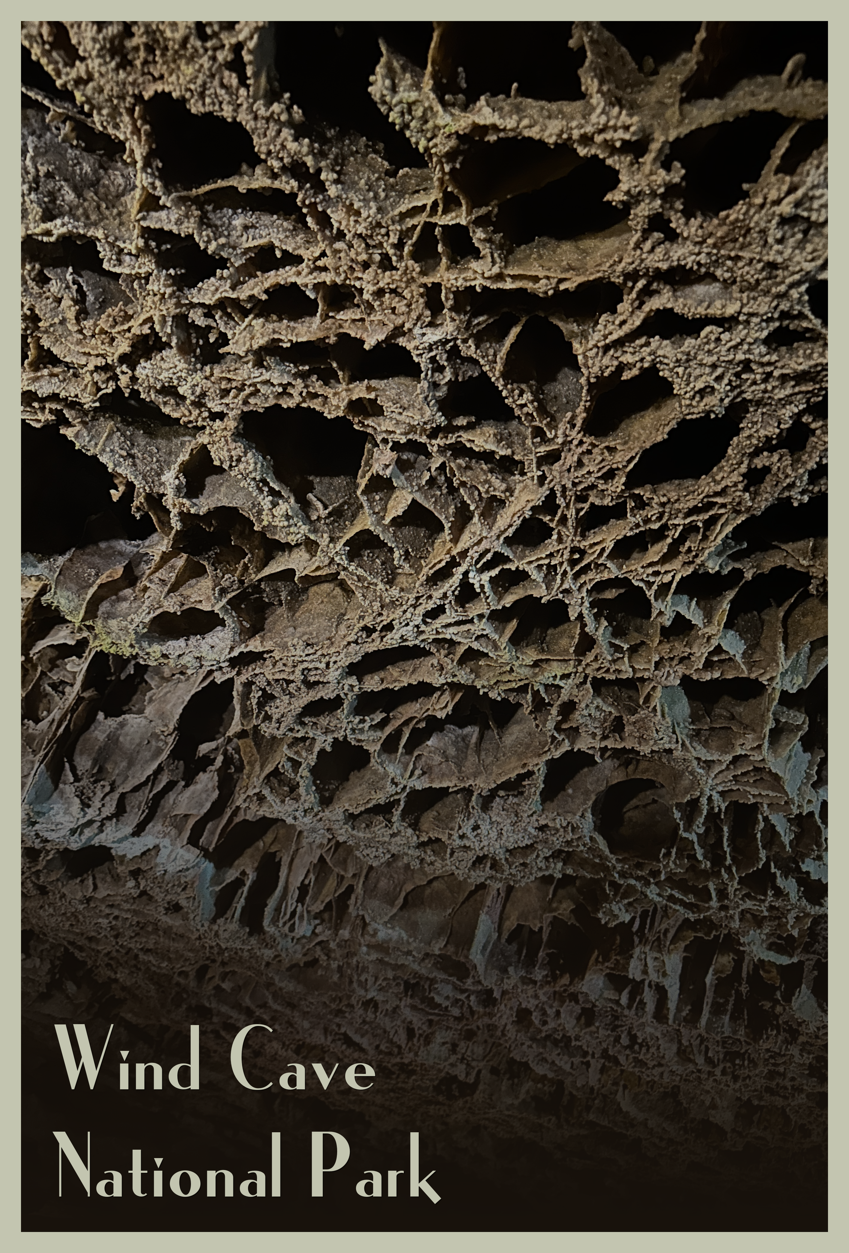 Wind Cave Boxwork Postcard