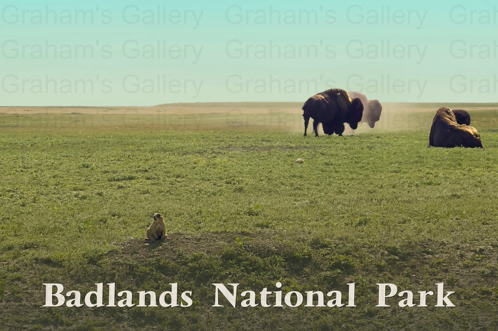 Badlands National Park II Front