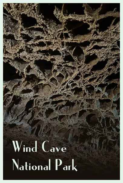 Wind Cave Boxwork Postcard Front