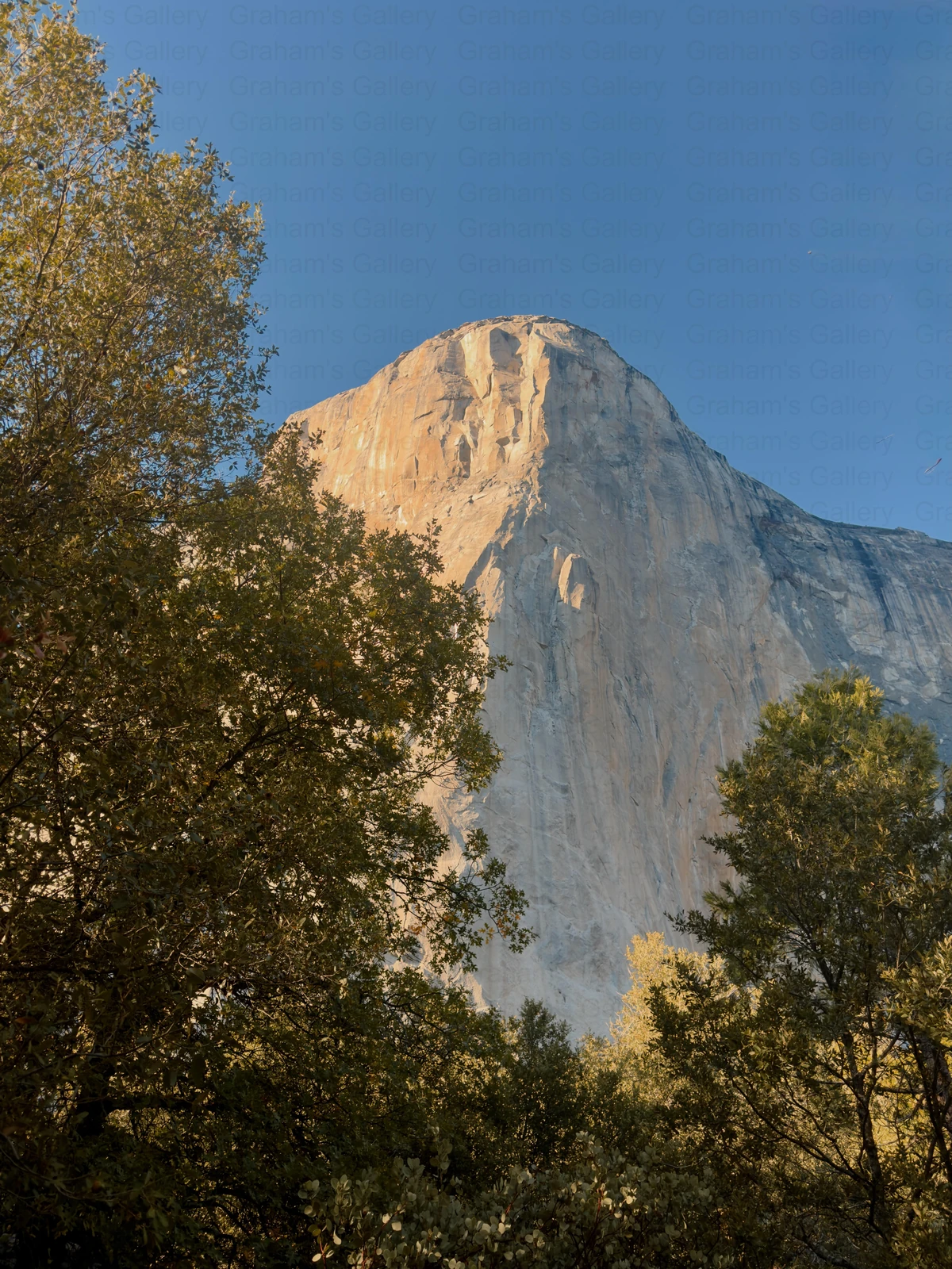 El Capitan - Yosemite National Park Front