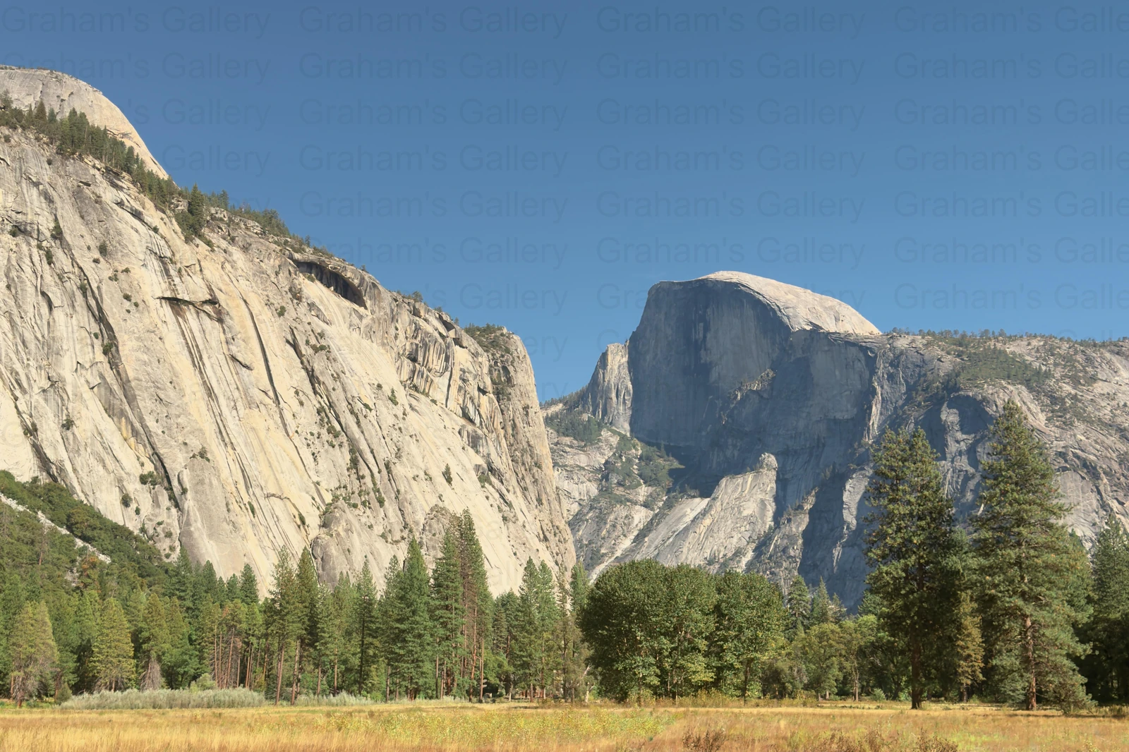 Half Dome – Yosemite National Park Front