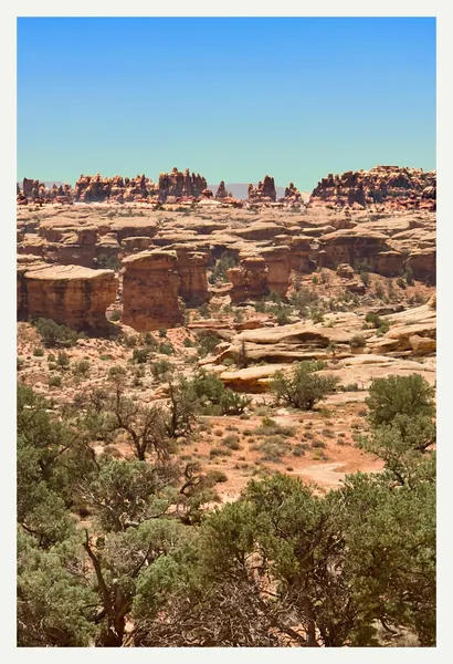 The Needles – Canyonlands National Park Postcard Front