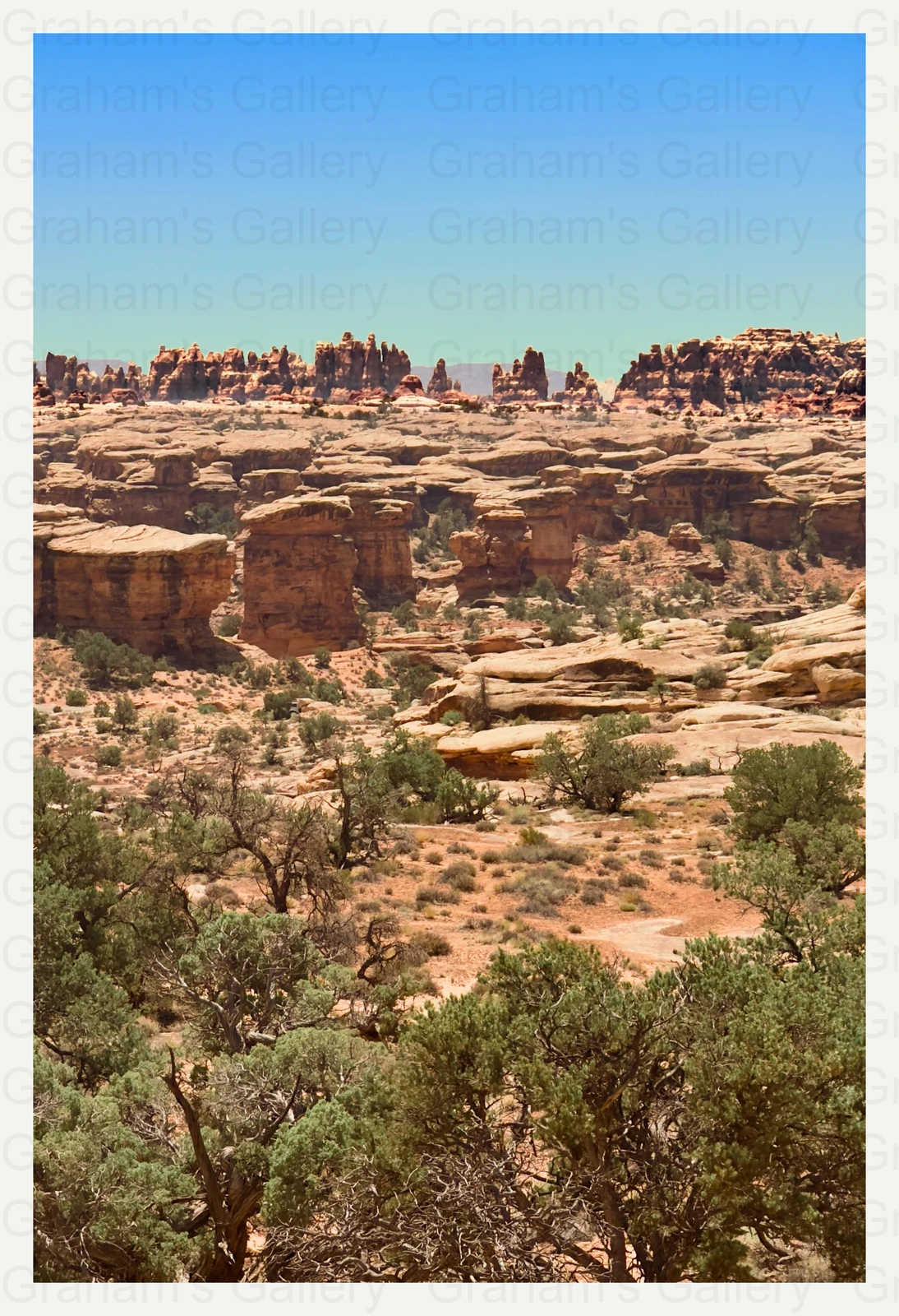 The Needles – Canyonlands National Park Front