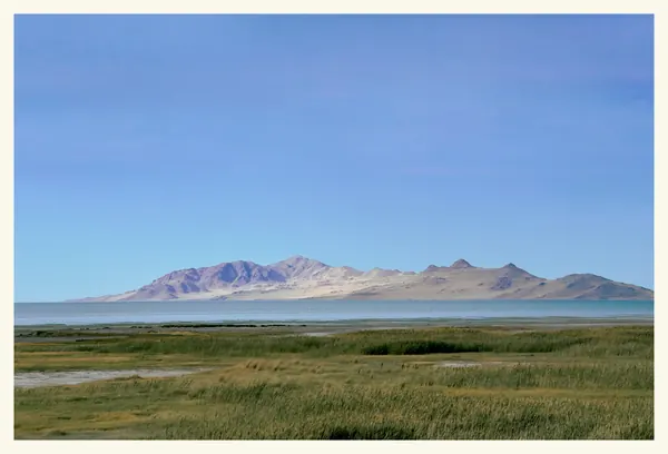 Antelope Island – Utah Postcard Front