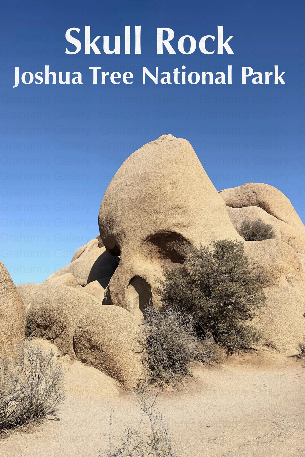 Skull Rock - Joshua Tree National Park Front