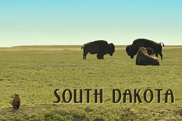 Great Plains – South Dakota Postcard