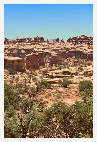 The Needles – Canyonlands National Park Postcard
