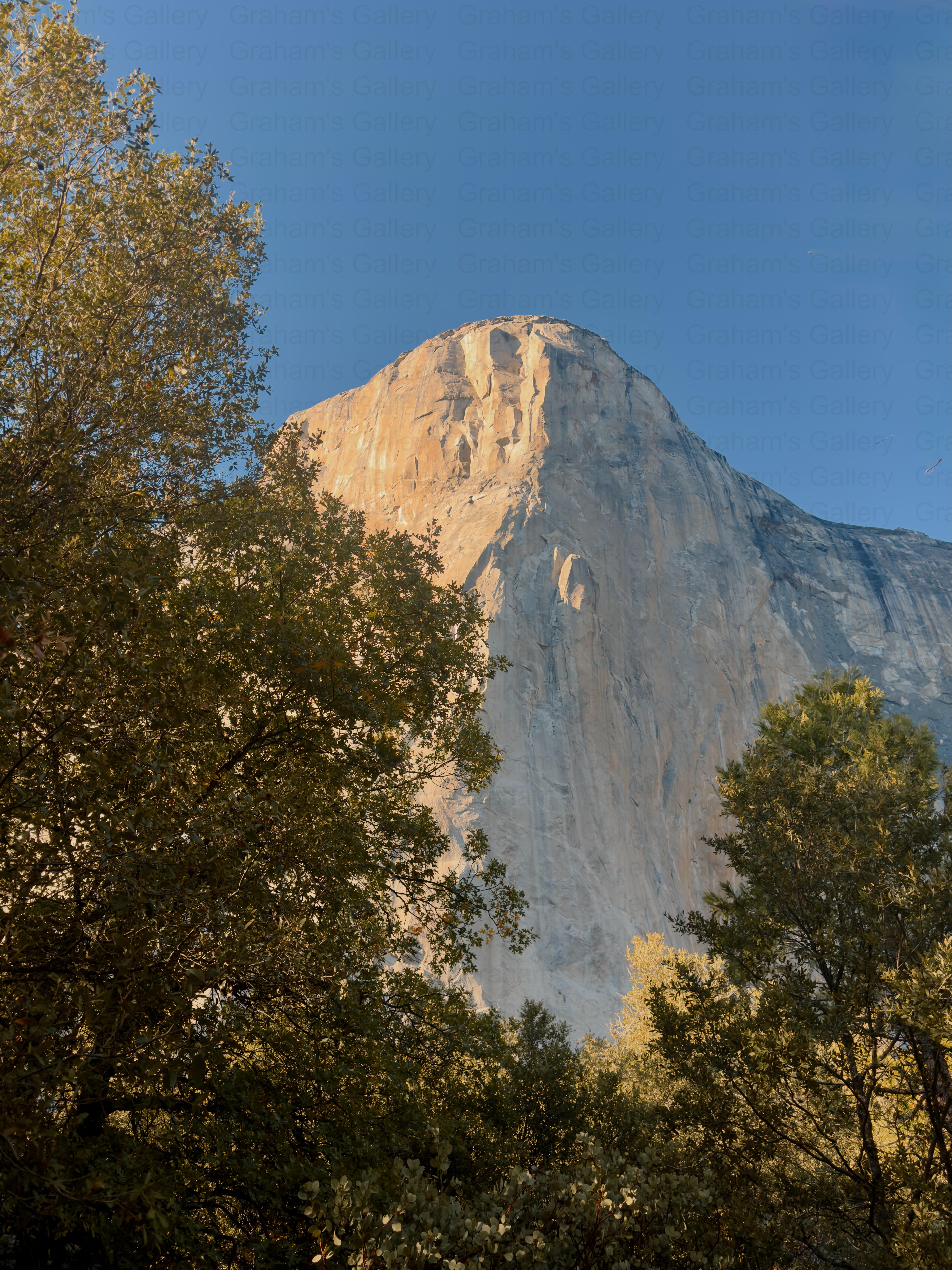 El Capitan - Yosemite National Park Front