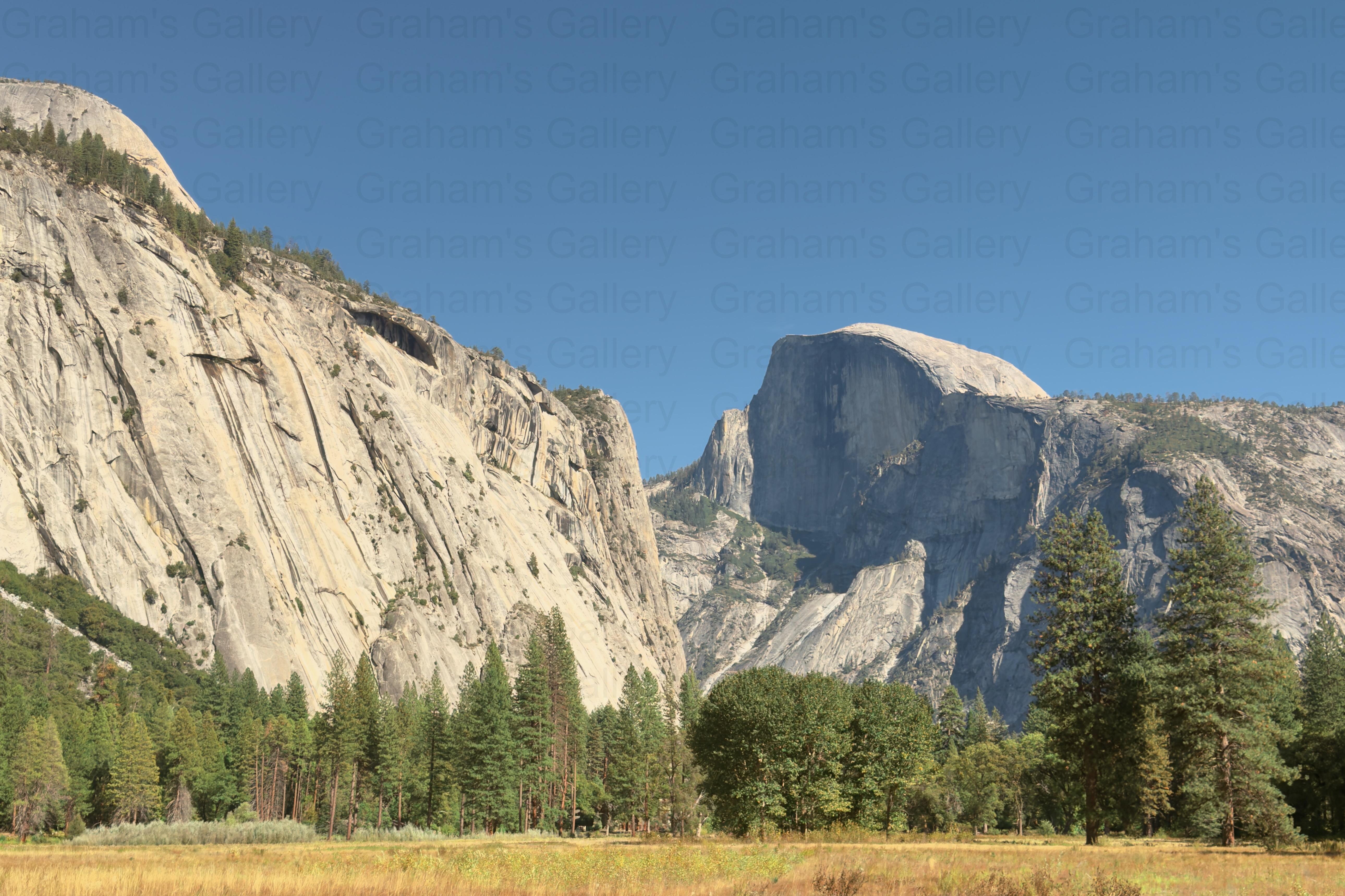 Half Dome – Yosemite National Park Front