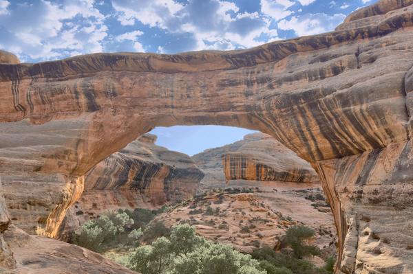 Natural Bridges National Monument Postcard Front