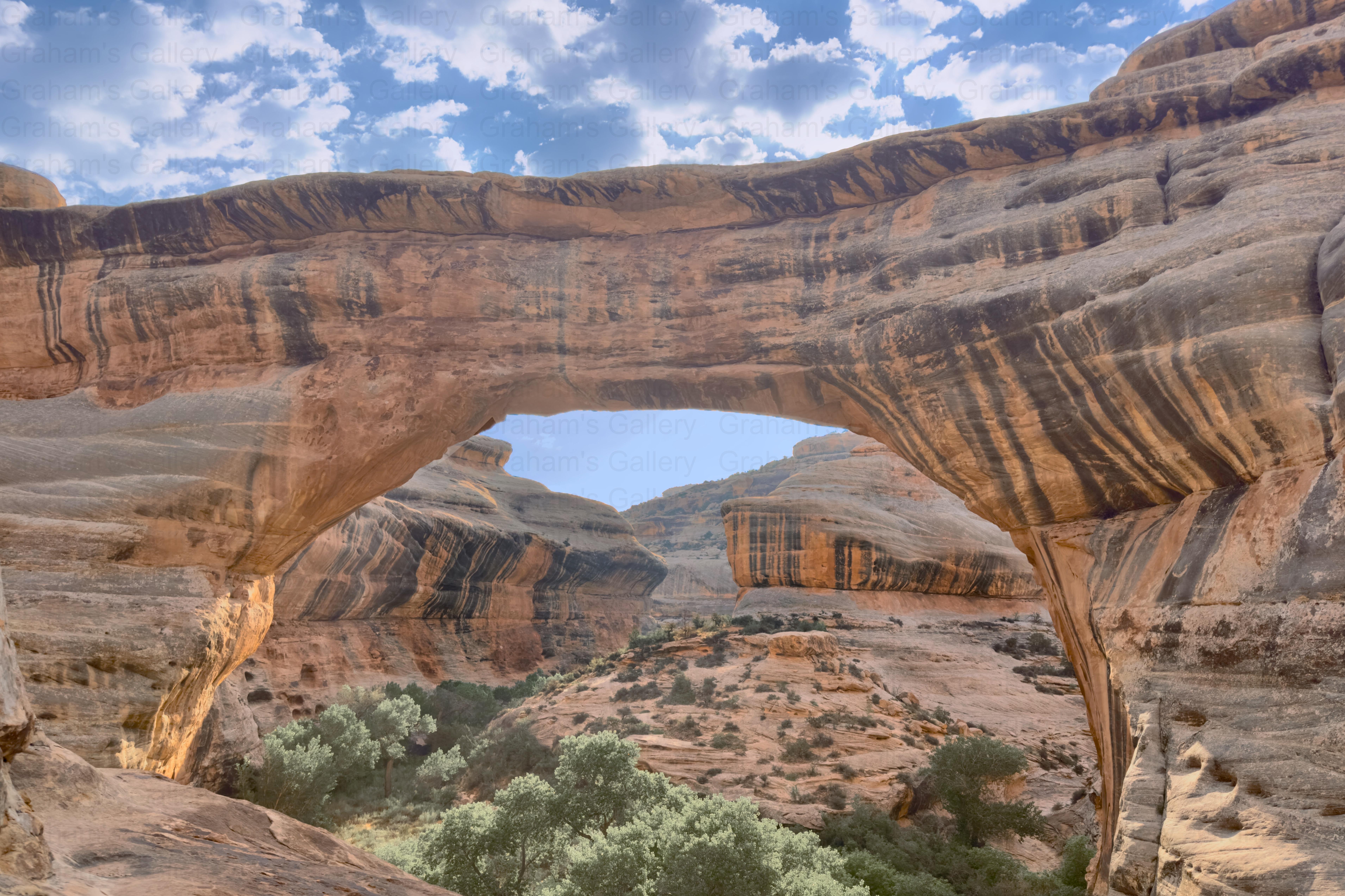 Natural Bridges National Monument Front
