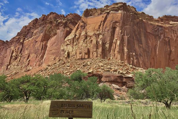 Fruita Orchards - Capitol Reef National Park Postcard Front