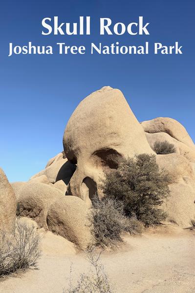 Skull Rock - Joshua Tree National Park Postcard Front