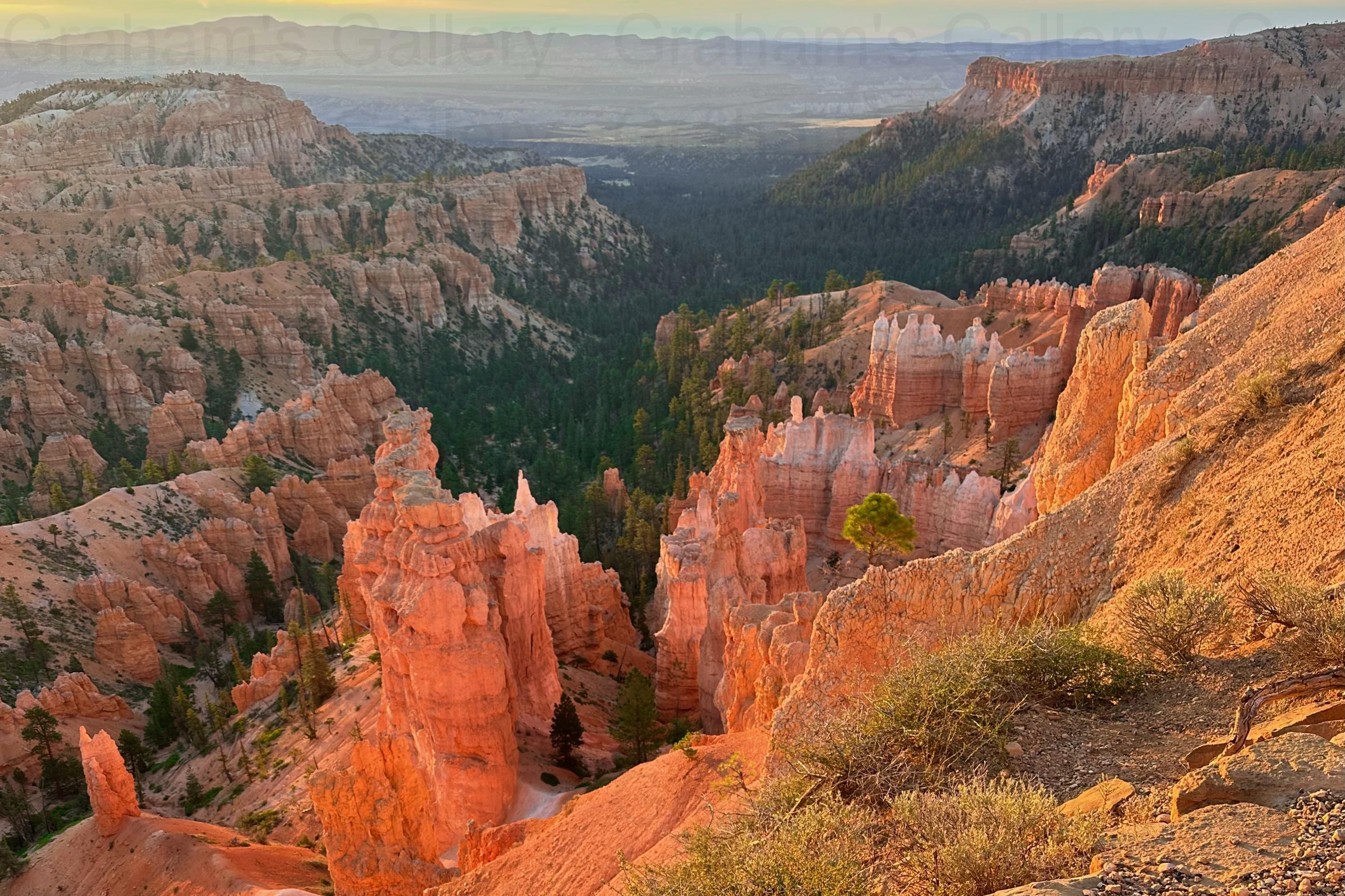 Needle Formations – Bryce Canyon National Park Front