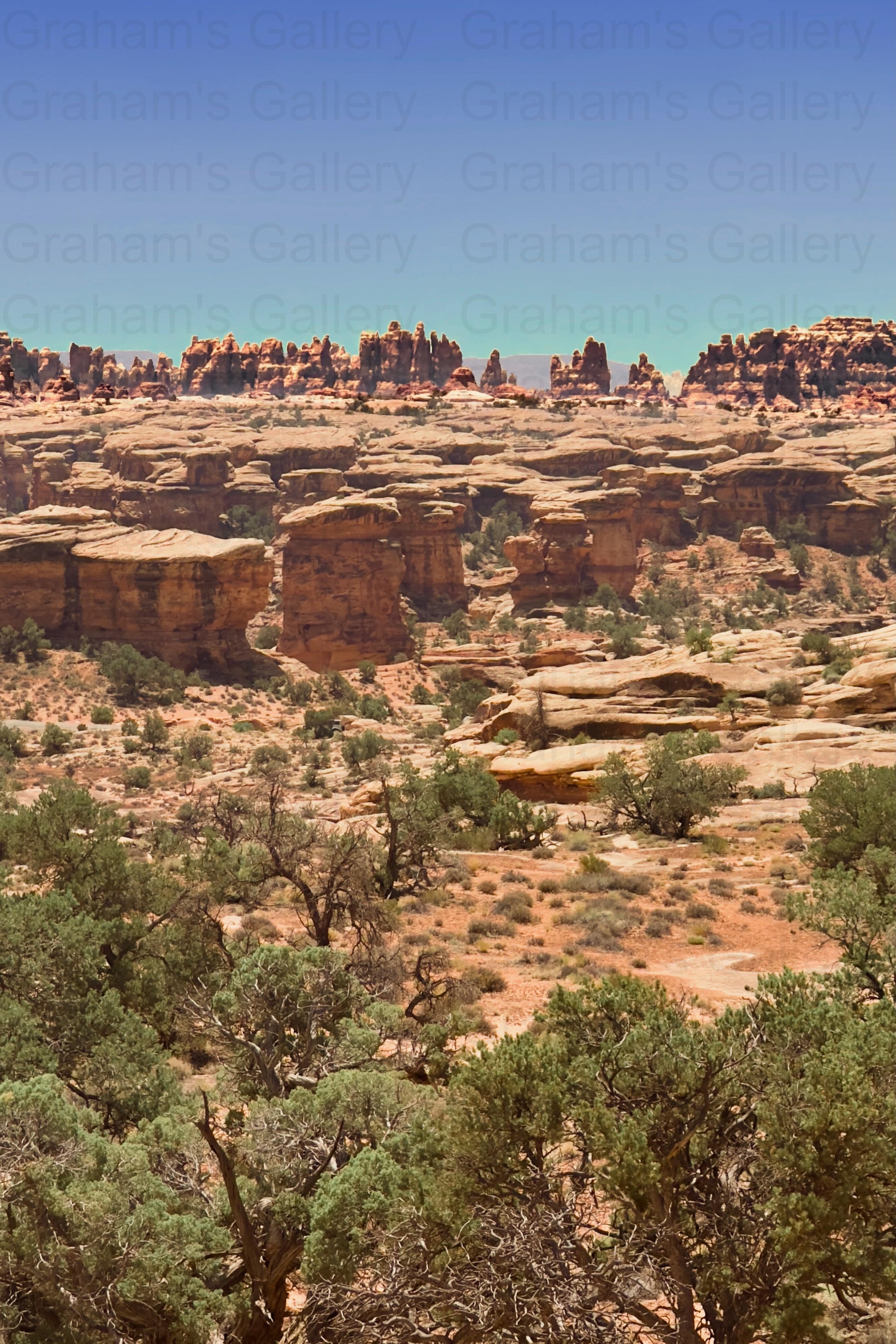 The Needles – Canyonlands National Park Front